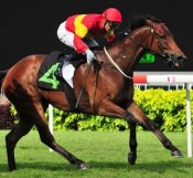 Red Beard (Corey Brown) holds off The Comedian (Alan Munro) to win Race 8 on Sunday.<br>Photo by Singapore Turf Club